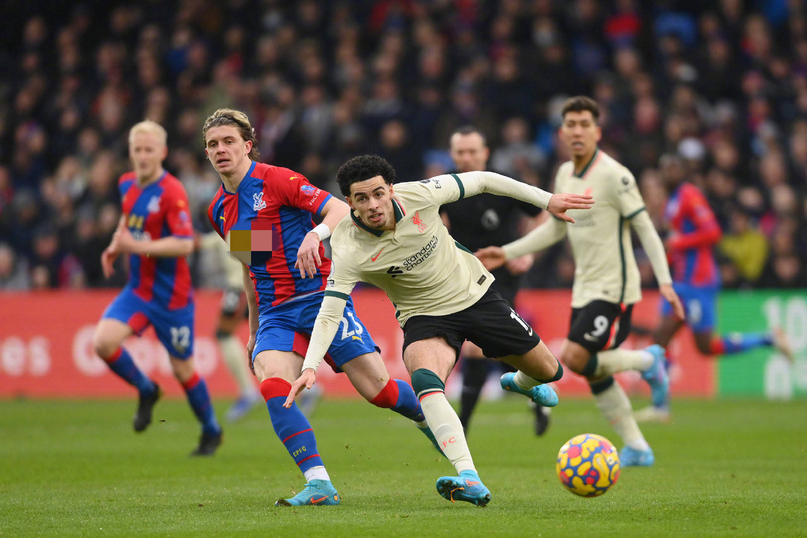 尤其是加维 尤其是加维